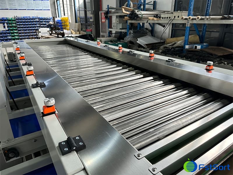 images/1743665920668plum sorting machine.jpg